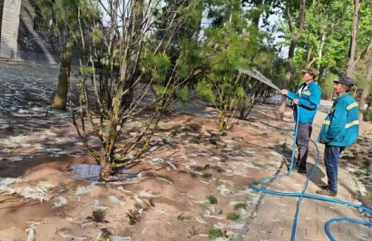 開展飛絮治理 守護清新環(huán)境