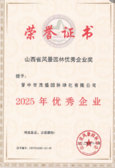 2025年度******企业