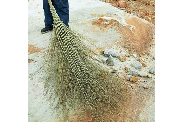 竹掃帚