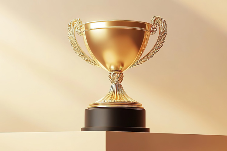 获得防火门国家标准型式认可证书和防火门检测报告