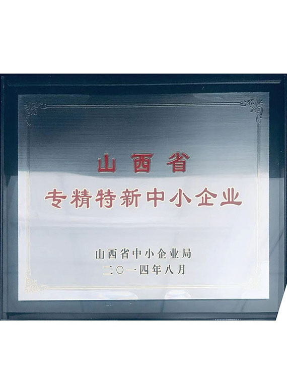 精专特新中小企业