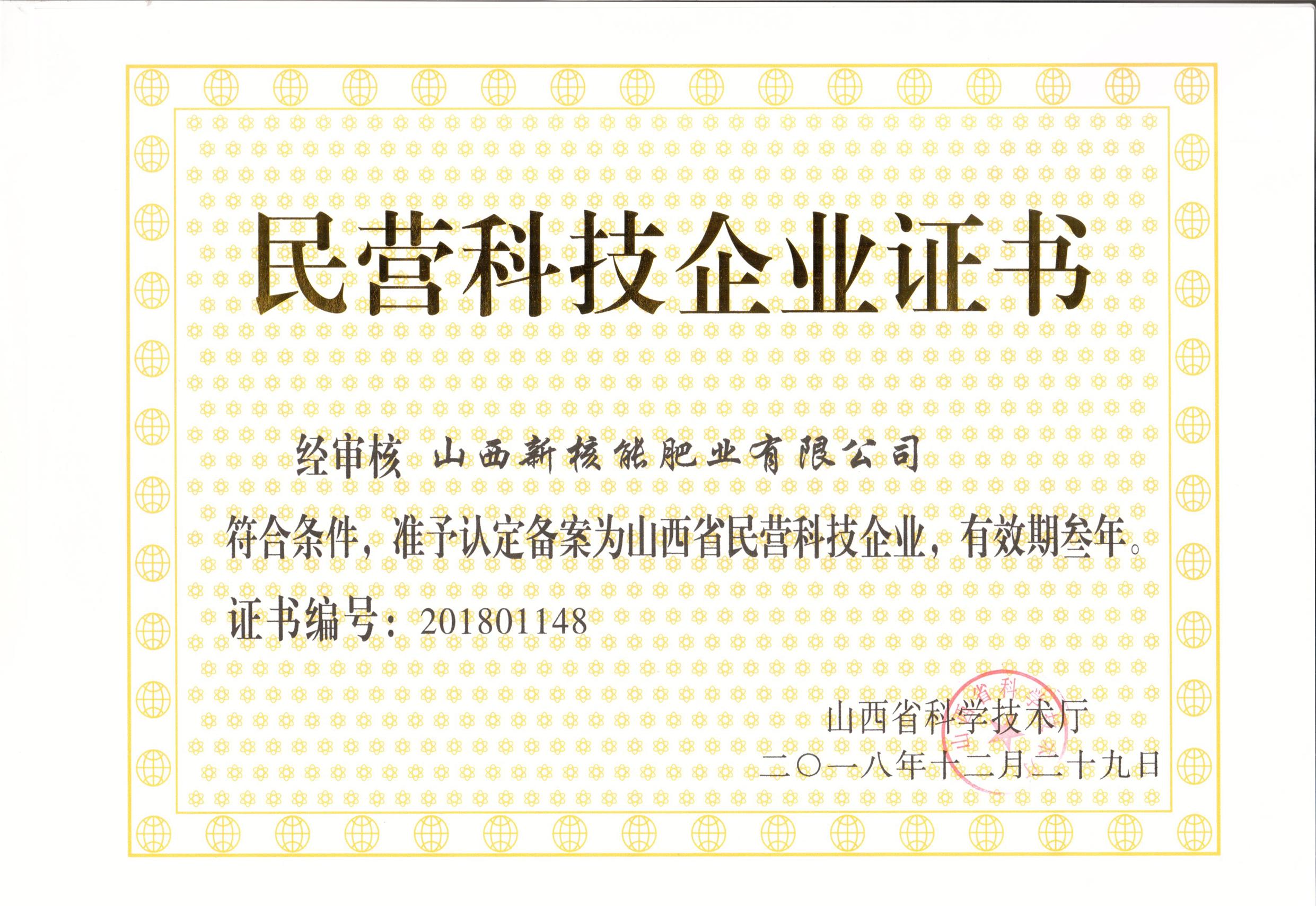 民营科技企业