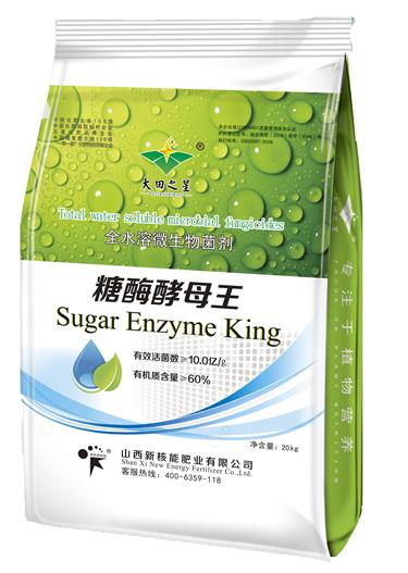 糖酶酵母王