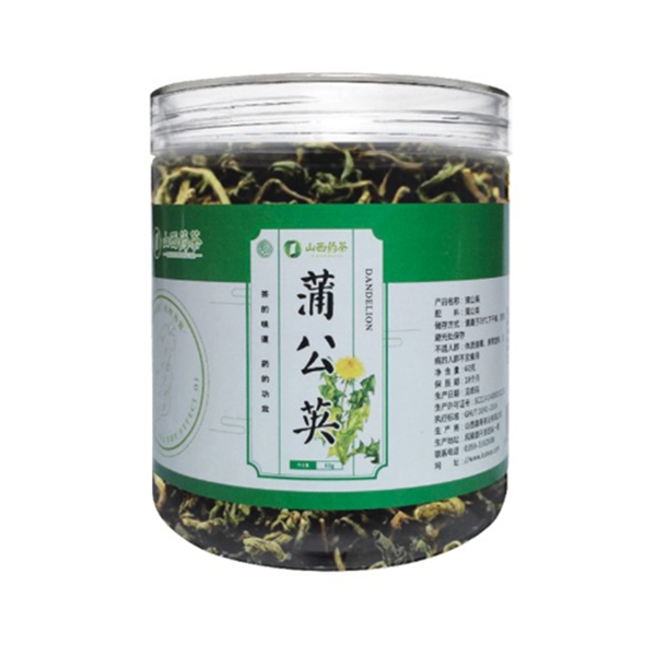 蒲公英