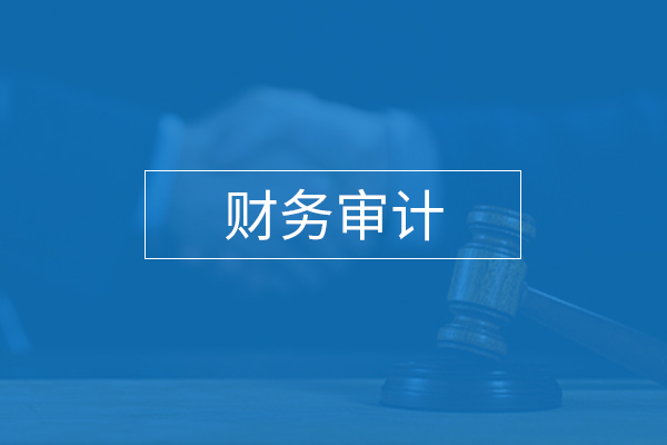 財(cái)務(wù)審計(jì)