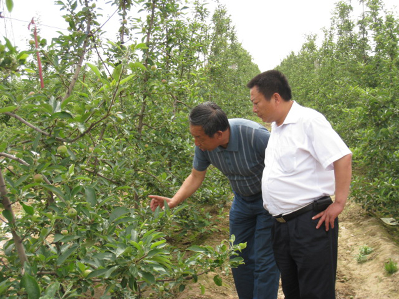 专家团队