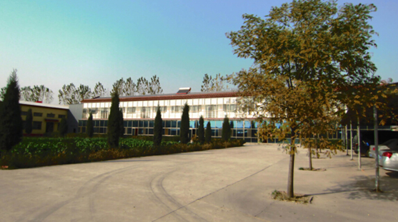 厂区环境