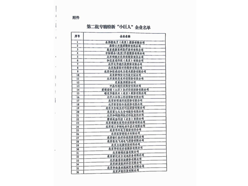 专精特新“小巨人”企业名单通告 (3)