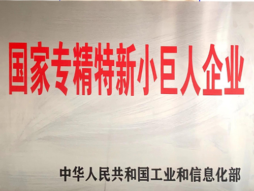 专精特新小巨人企业