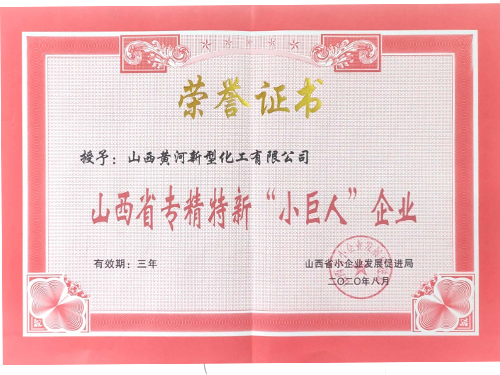 专精特新“小巨人”企业荣誉