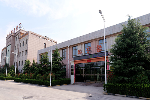 公司风采