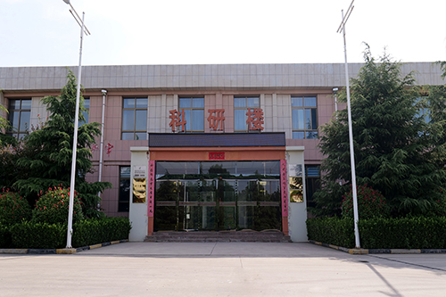 公司风采
