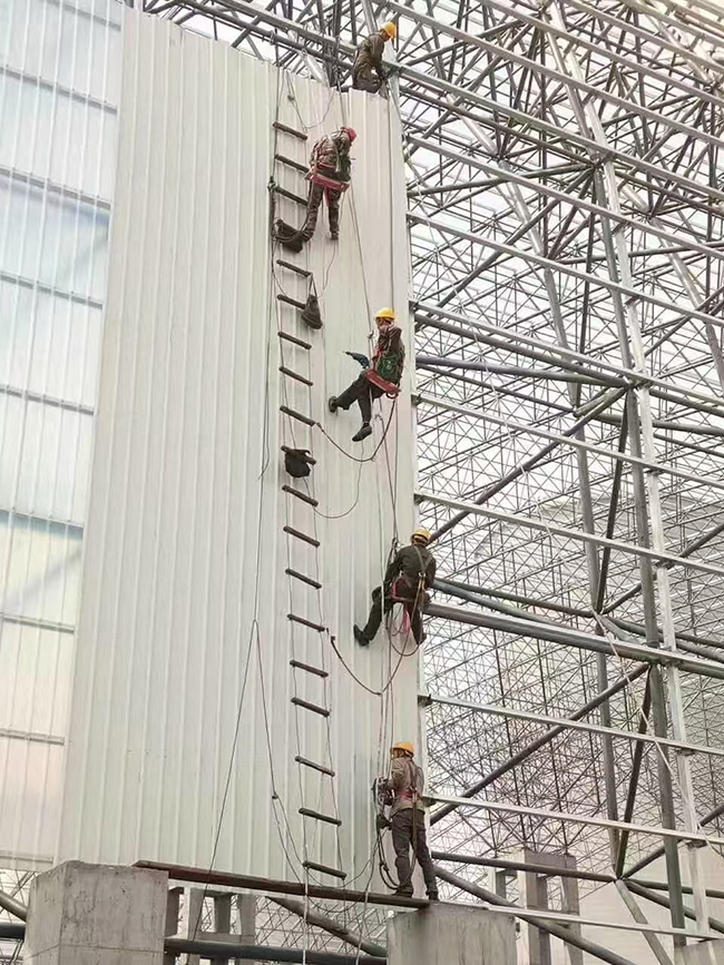 案例展示