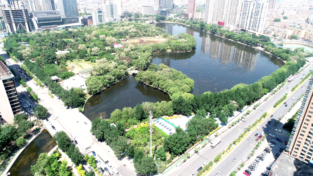 沈河区青年公园绿化景观提升工程