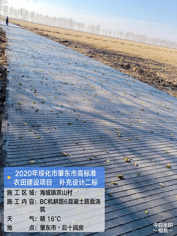 2020年绥化市肇东市高标准农田建设项目补充设计施工第二标段