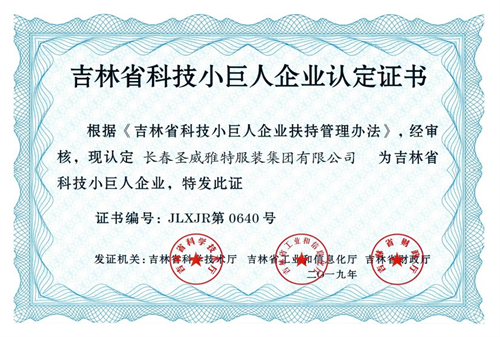 吉林省科技小巨人