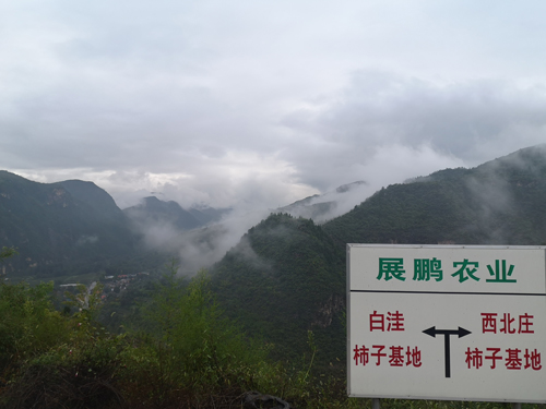 厂区环境
