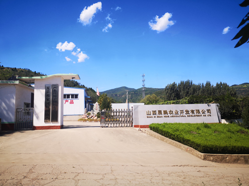 厂区环境