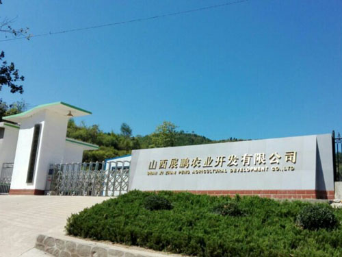 厂区环境
