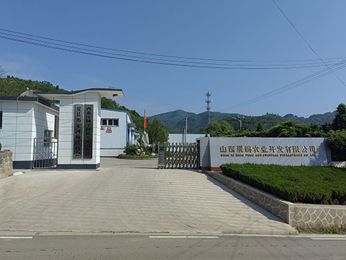 厂区环境