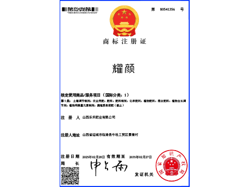 商標(biāo)注冊(cè)證_耀顏