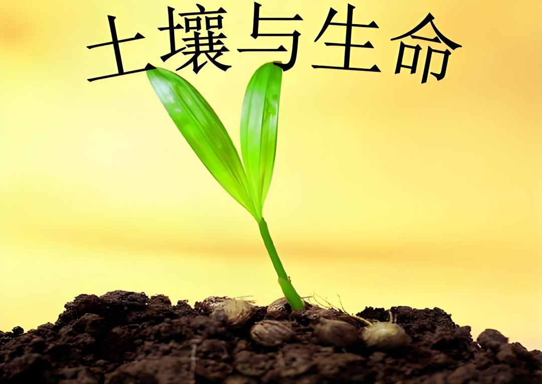 肥料的重要性