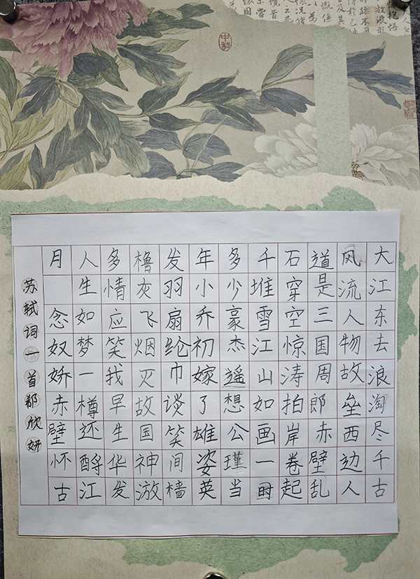 b5c44fdda2c85a1f13d909170faf5429_副本