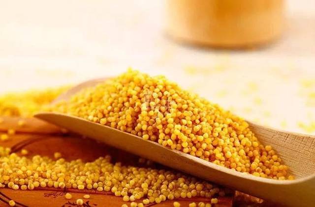 “爬山糙”不能做品牌名?如何判斷商品通用名稱!