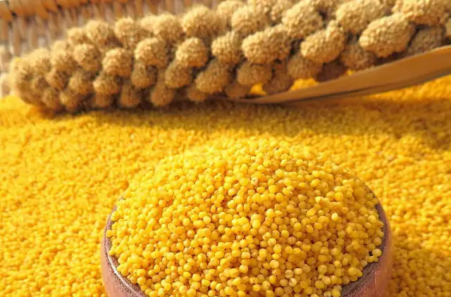 國家知識產權局關于核準平遙縣晉膳美食品有限公司等143家企業使用地理標志專用標志的公告(第 420 號)