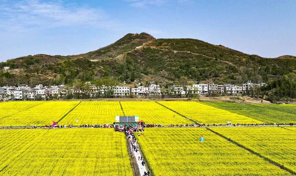 “十四五”“三农”成绩单，看看有几个“没想到”？