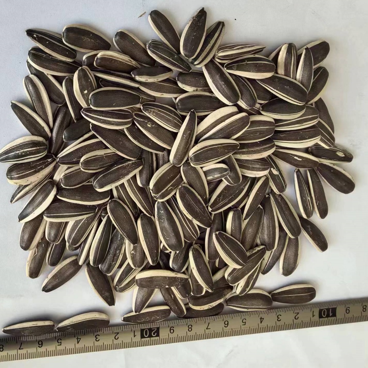sunflower seeds