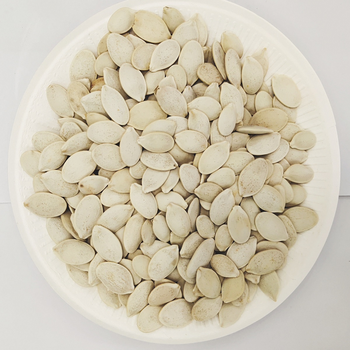 pumpkin seeds