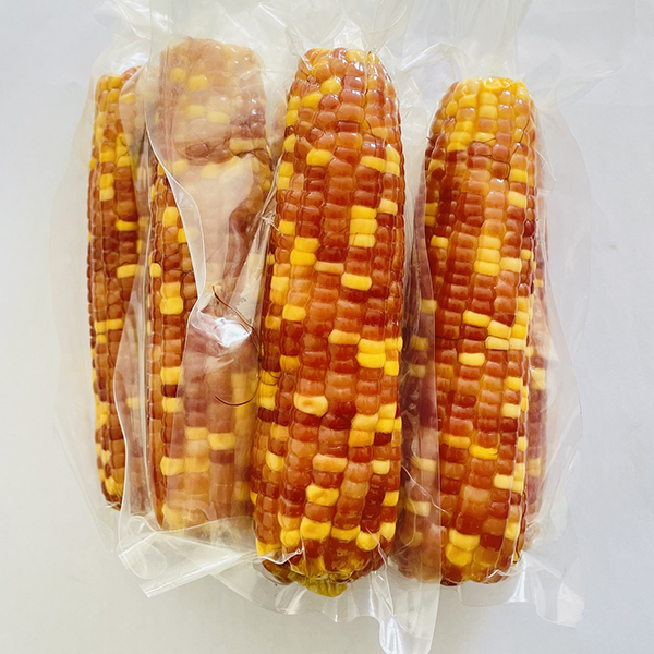 motley color sweet corn cobs