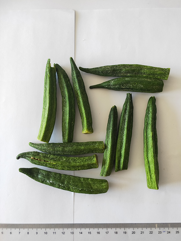 VF okra