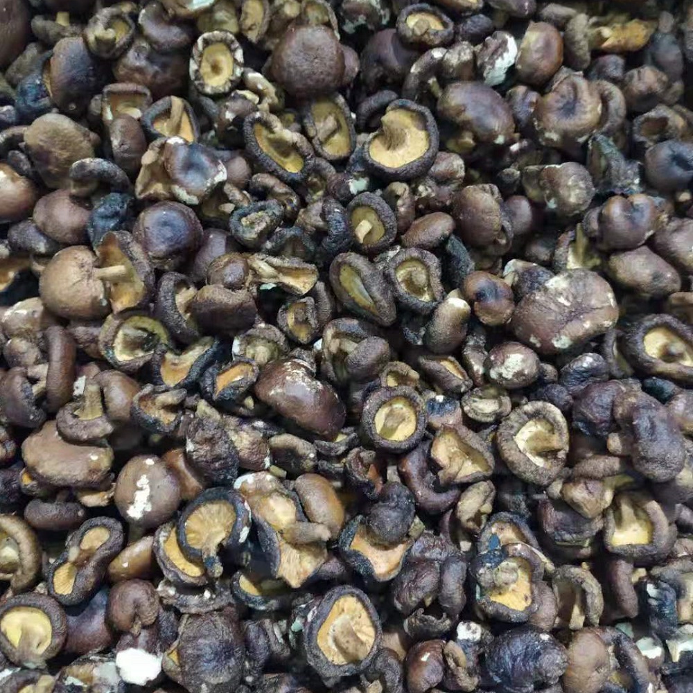 Shiitake Mushrooms Crisps