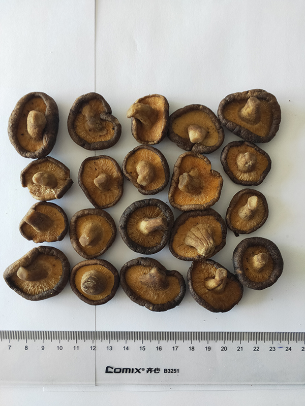 VF shiitake mushrooms
