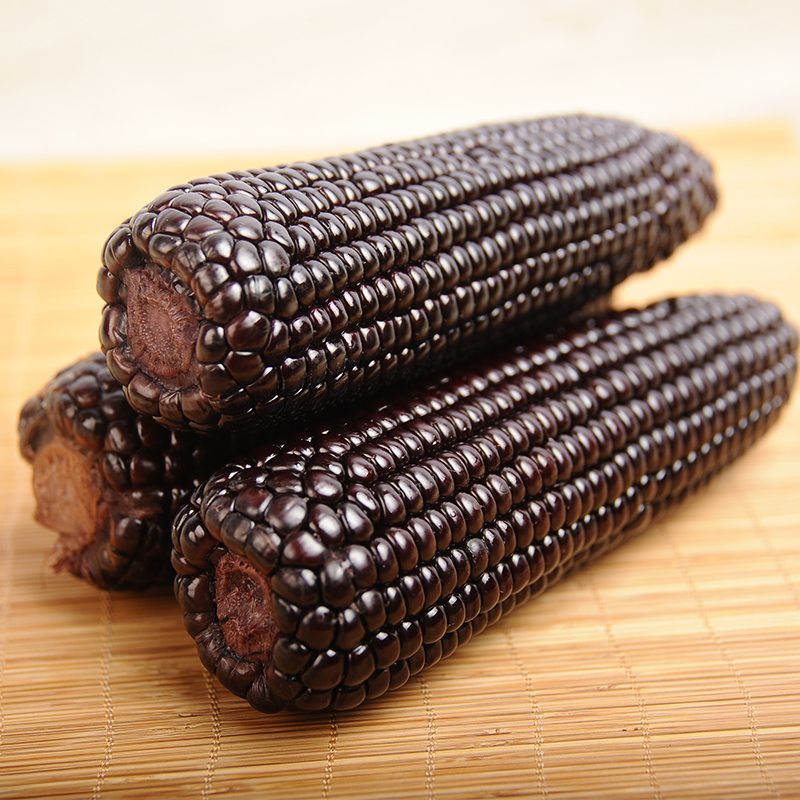 black sweet waxy corn cobs