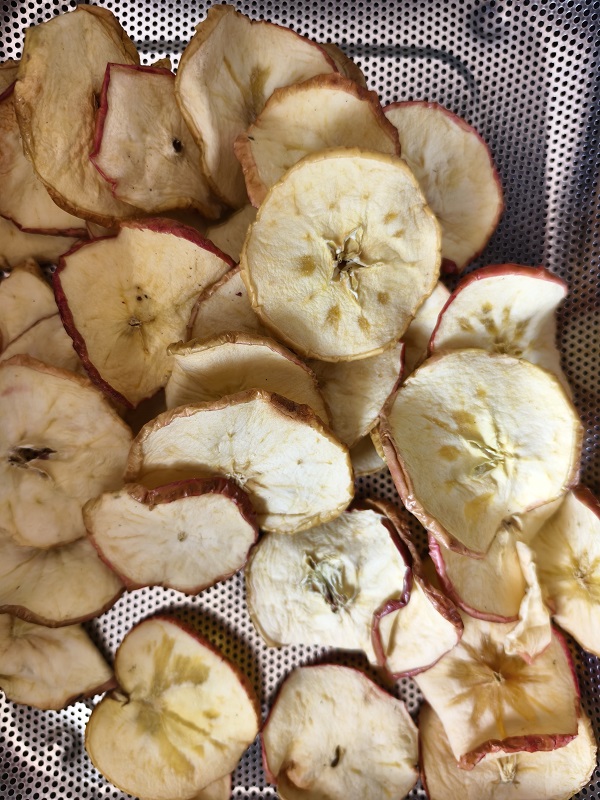 dried apple chips with cores