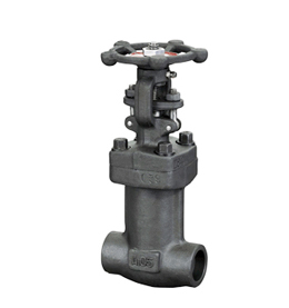 DZ61Y 锻钢低温闸阀