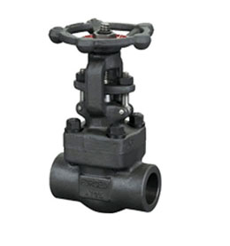 Z11Y 锻钢内螺纹闸阀