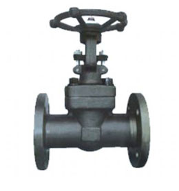 Z41Y锻钢法兰闸阀