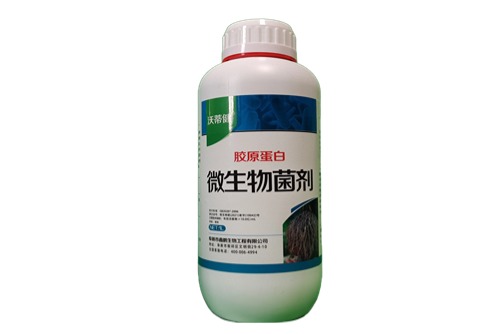 胶原蛋白微生物菌剂