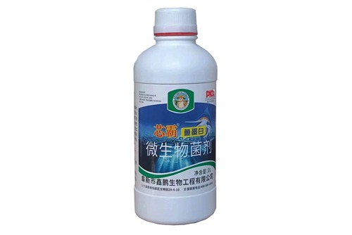 鱼蛋白微生物菌剂