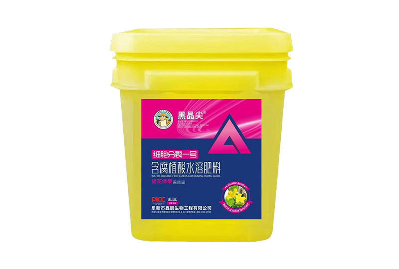 黑晶尖细胞分裂