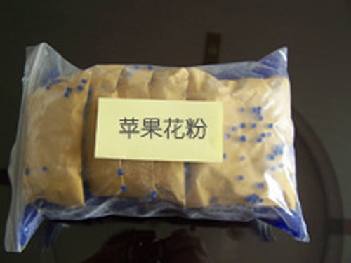 蘋果花粉 (1)