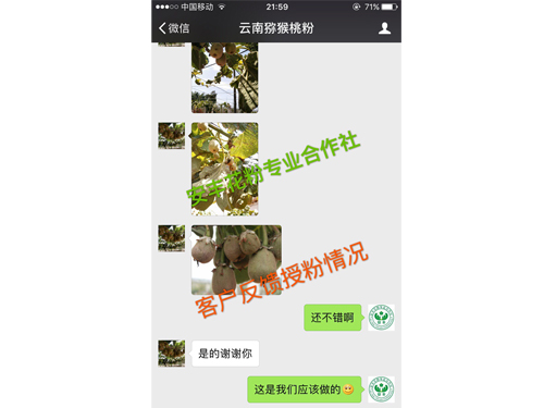 客戶反饋情況 (1)