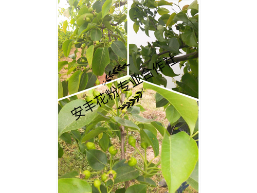 客戶反饋情況 (7)