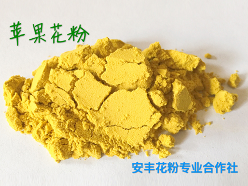 蘋果花粉 (5)