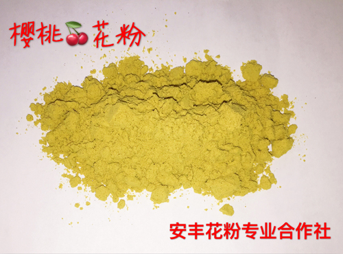 櫻桃花粉 (1)