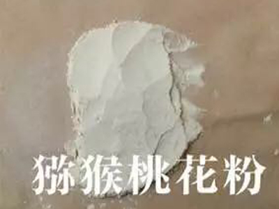 獼猴桃花粉 (2)